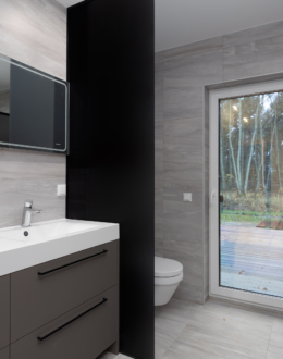 Toonitud klaasist vahesein 3